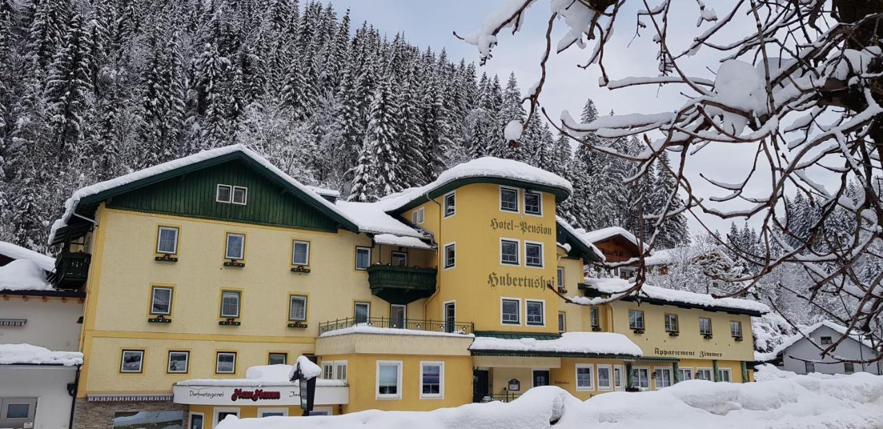 Hotel Hubertushof 플라차우 외부 사진