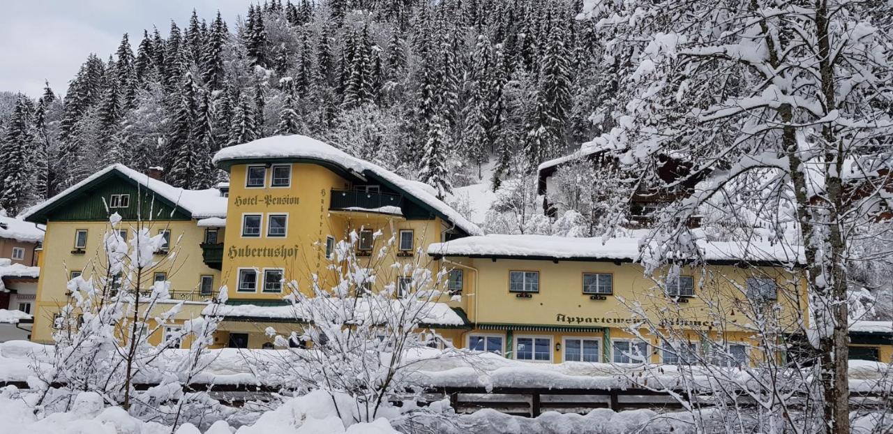 Hotel Hubertushof 플라차우 외부 사진
